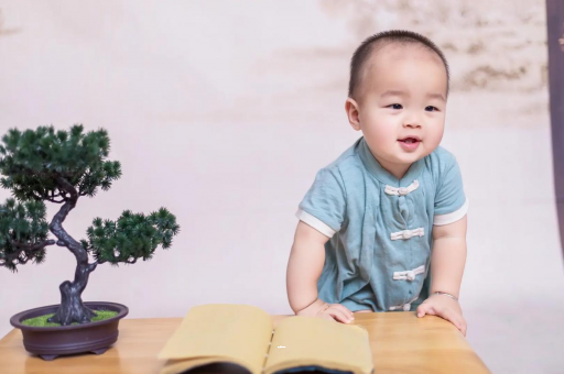 桐乡可爱的企鹅宝宝